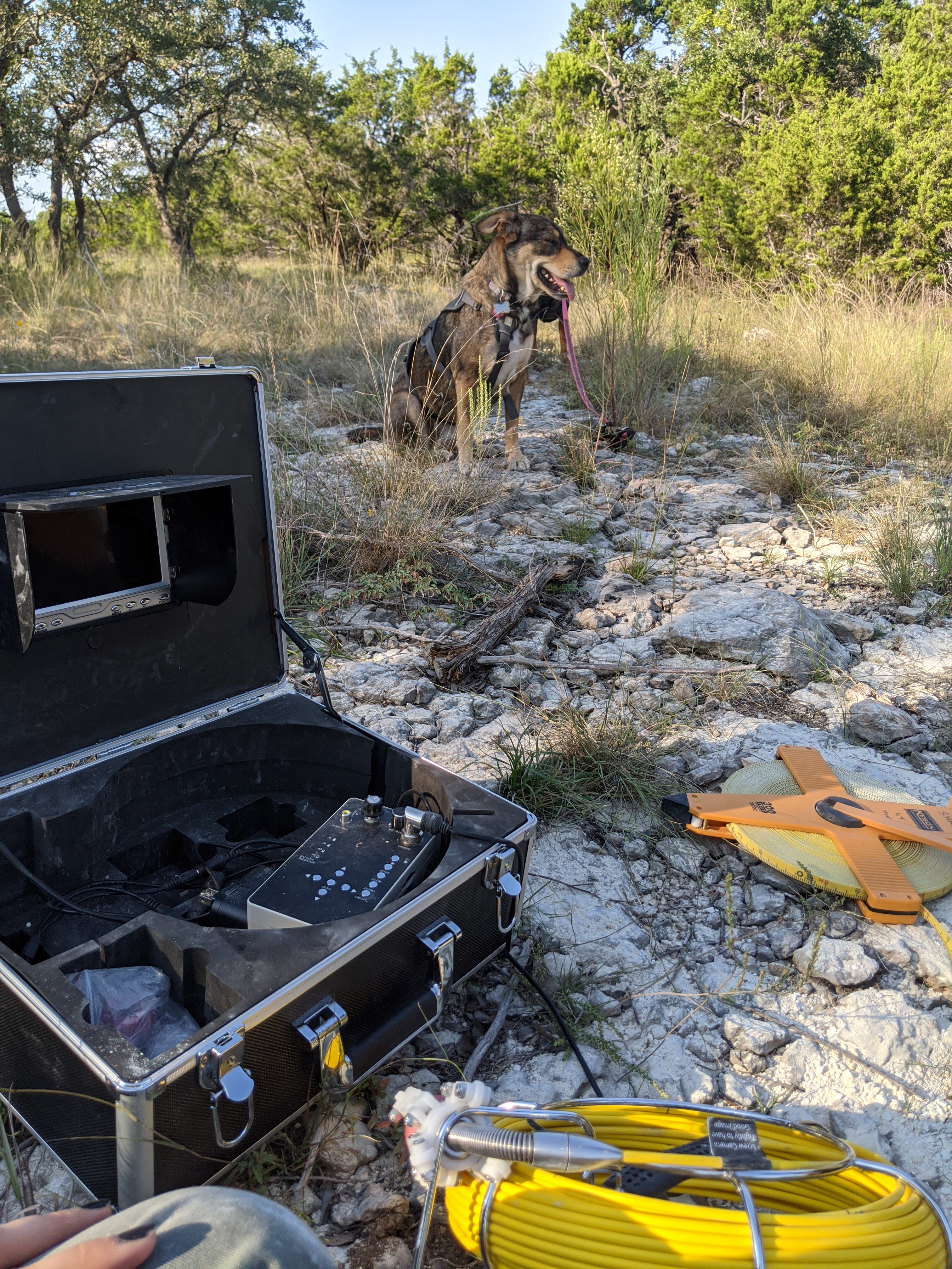 Willow supervising our subsurface filming.